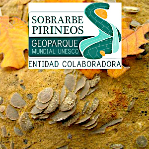 A photo of some nummolite fossils with the Sobrabre Geopark sign illustrating that we are associate members of the Geopark, a UNESCO site of geological importance, on the About Us page. This page gives some background to Aragon Active small group holidays in the Spanish Pyrenees
