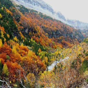 A stunning photo of the autumn colours in the Ordesa valley in the Spanish Pyrenees on our small group holidays with Aragon Active