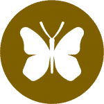 An brown icon with a butterfly saying we have nature experts on our wildlife and birding holidays Spain with Aragon Active small group holidays