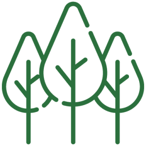 An icon of three green leaves illustrating the responsible travel aspect on the About Us page. This page gives some background to Aragon Active small group holidays in the Spanish Pyrenees