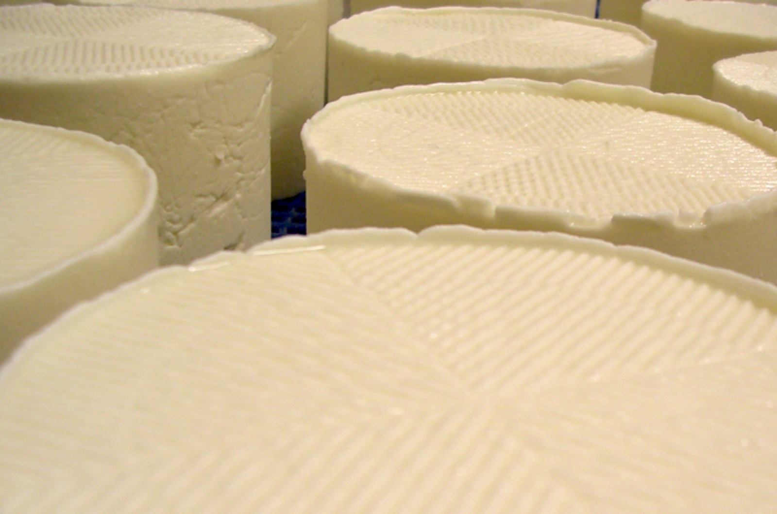 A photo of locally made goats cheese in the conditioning room on Cooking Holidays Spain with Aragon Active