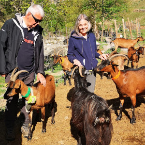 Students at the goats farm on our Spanish Language Walking Holidays with Aragon Active small group holidays