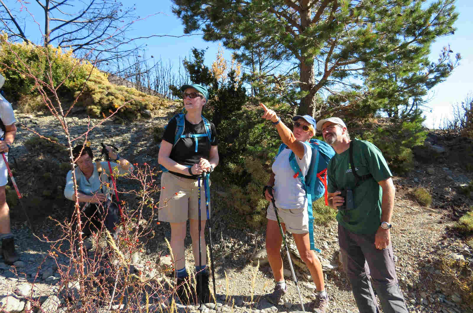 A group of students with a local guide in the Pyrenees mountains on our Spanish Language Walking Holidays
