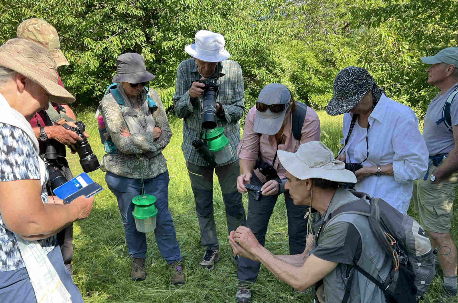 A group looking at an insect held by an expert lepidopterist on our Wildlife Holidays Spain with Aragon Active small group holidays in the Spanish Pyrenees