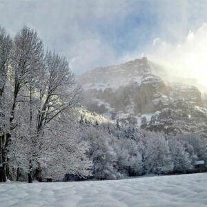 A winter photo with the trees covered in frost and snow on the ground in the National park of Ordesa in the Spanish Pyrenees on our small group holidays with Aragon Active