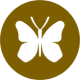 A brown icon with a white butterfly representing our Wildlife Holidays Spain in the Spanish Pyrenees with Aragon Active