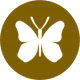 A brown icon with a white butterfly representing our Wildlife Holidays Spain in the Spanish Pyrenees with Aragon Active