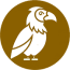 An icon with a bird representing our Birding Holiday in the Spanish Pyrenees on Small Group Holidays Spain with Aragon Active